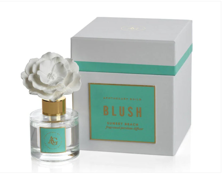 Blush Porcelain Diffuser