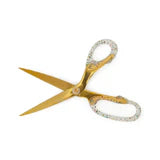 Confetti Party Acrylic Scissors