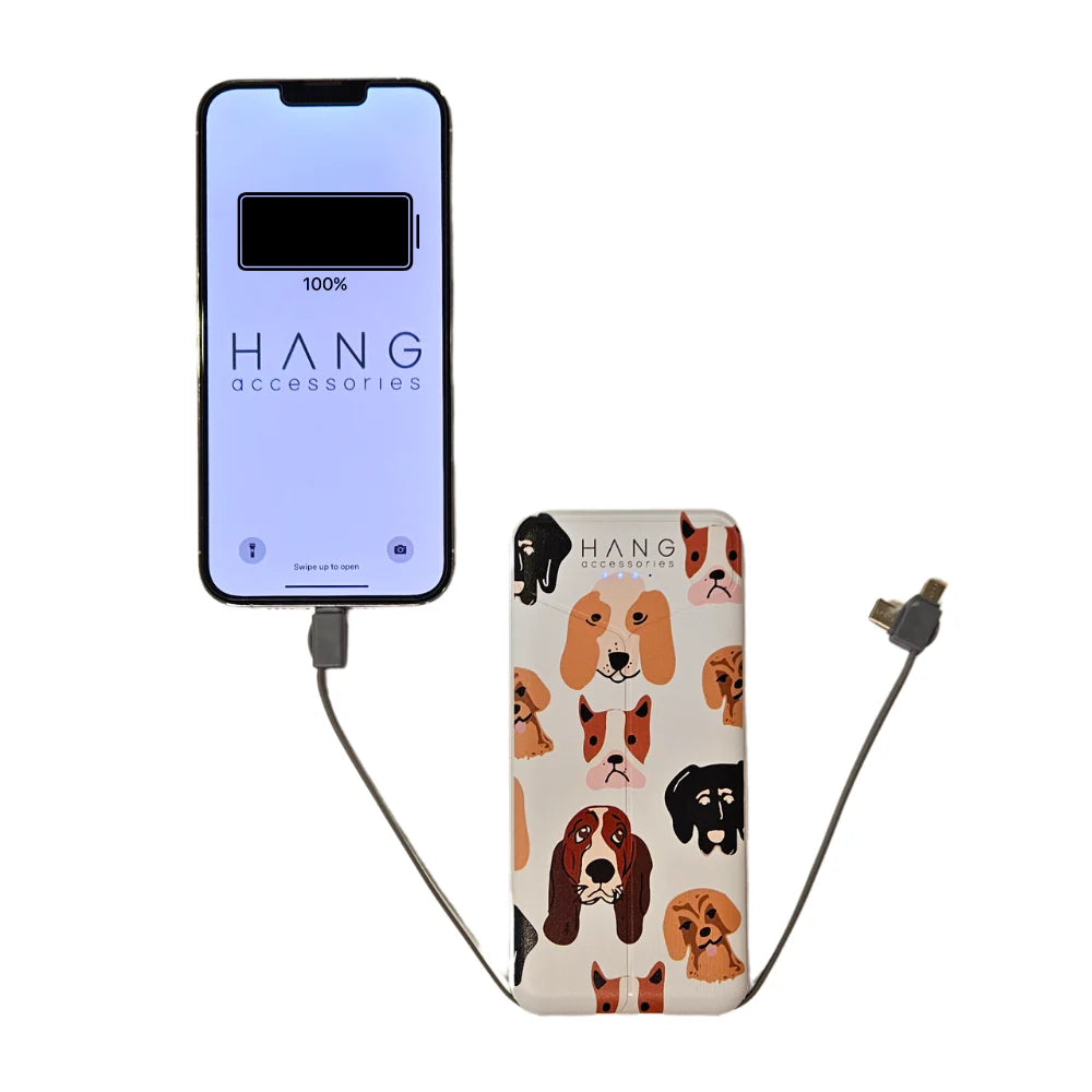 Portable Charging Bank