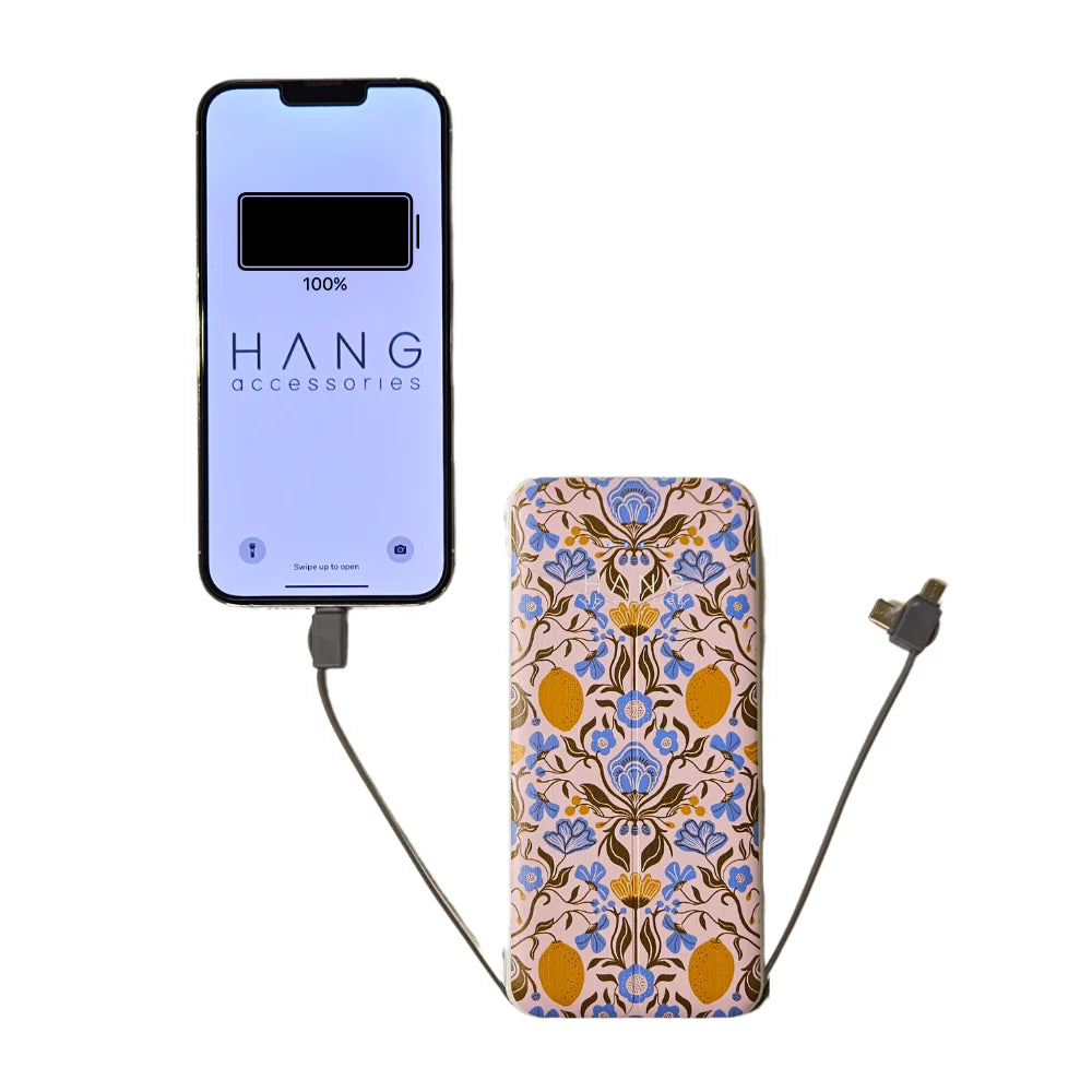 Portable Charging Bank