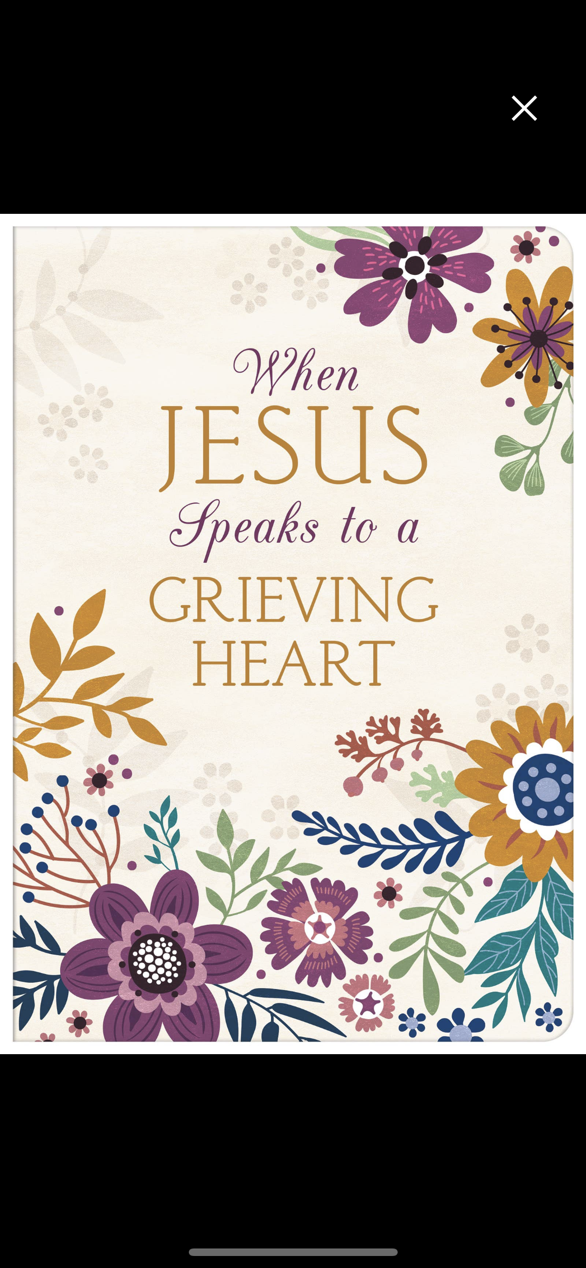 When Jesus Speaks to a Grieving Heart