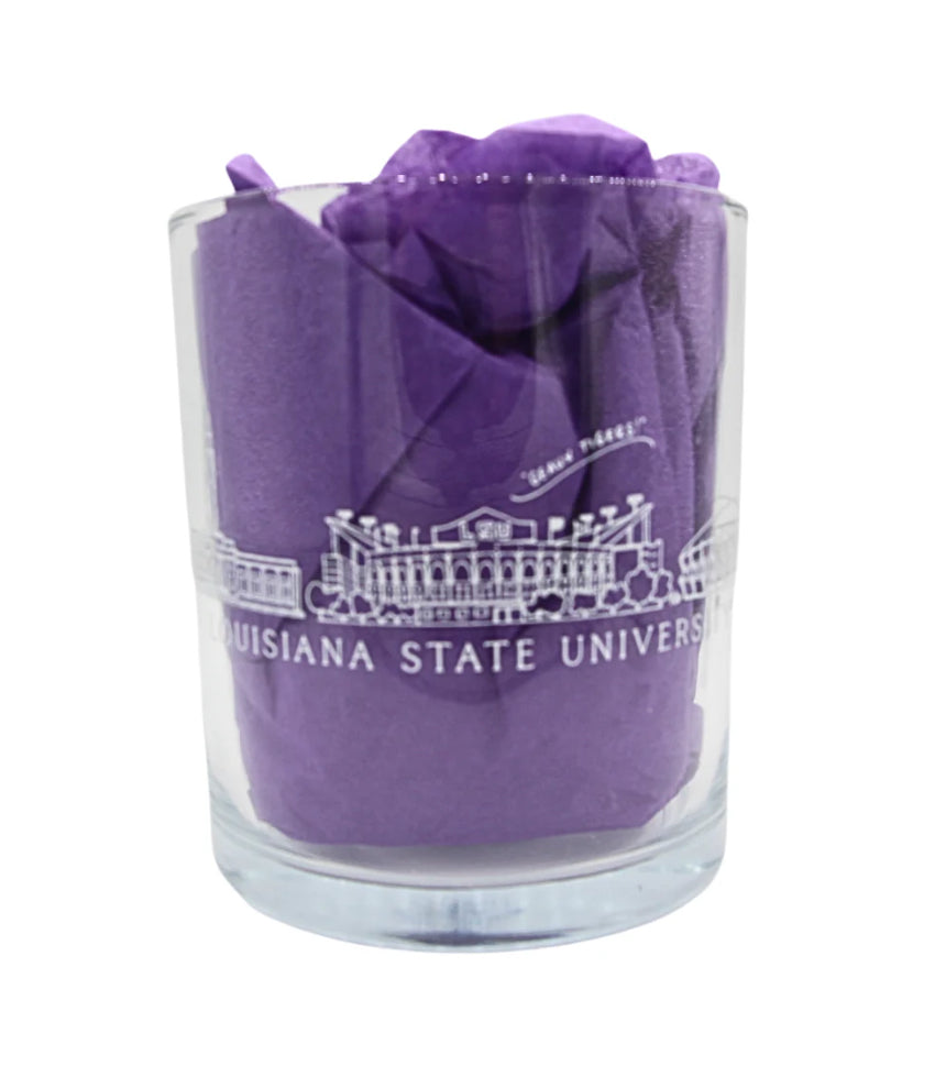 Gameday Skyline DOF Glasses