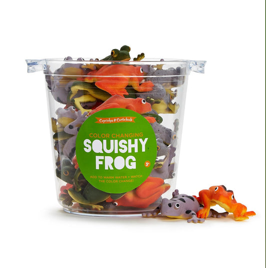 Color Changing Squishy Frog