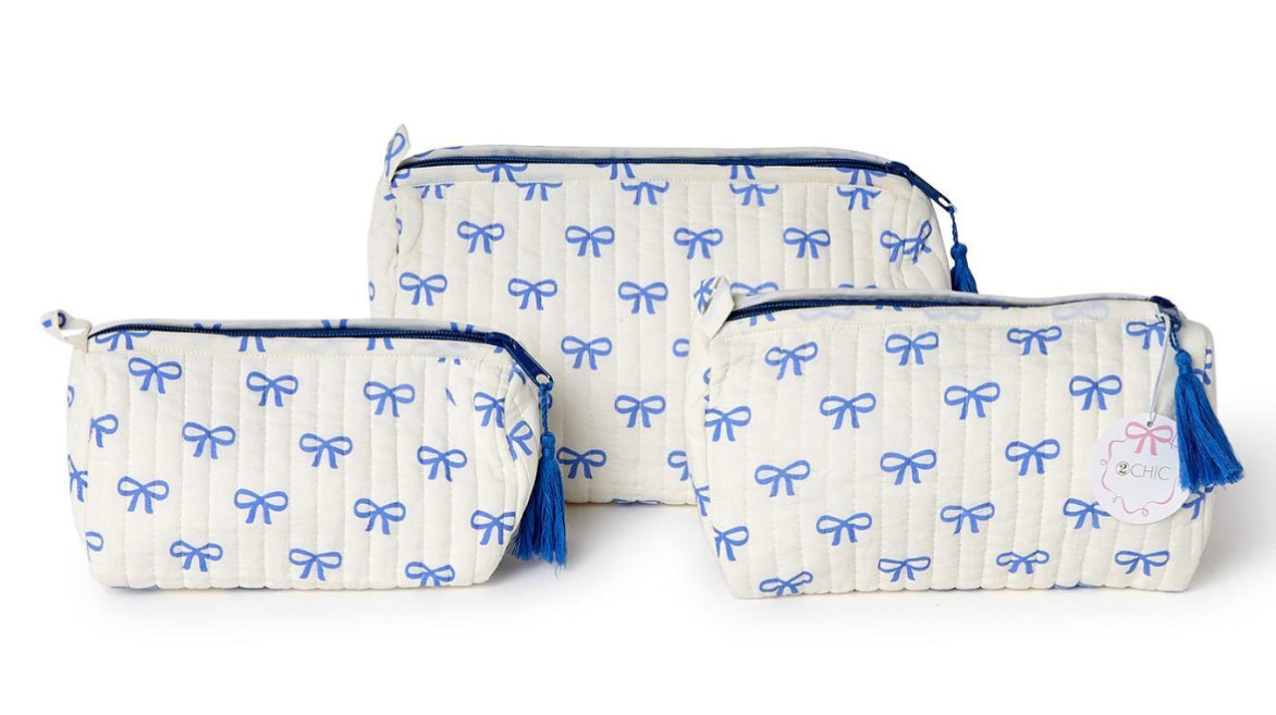 Coquette Bow Bag