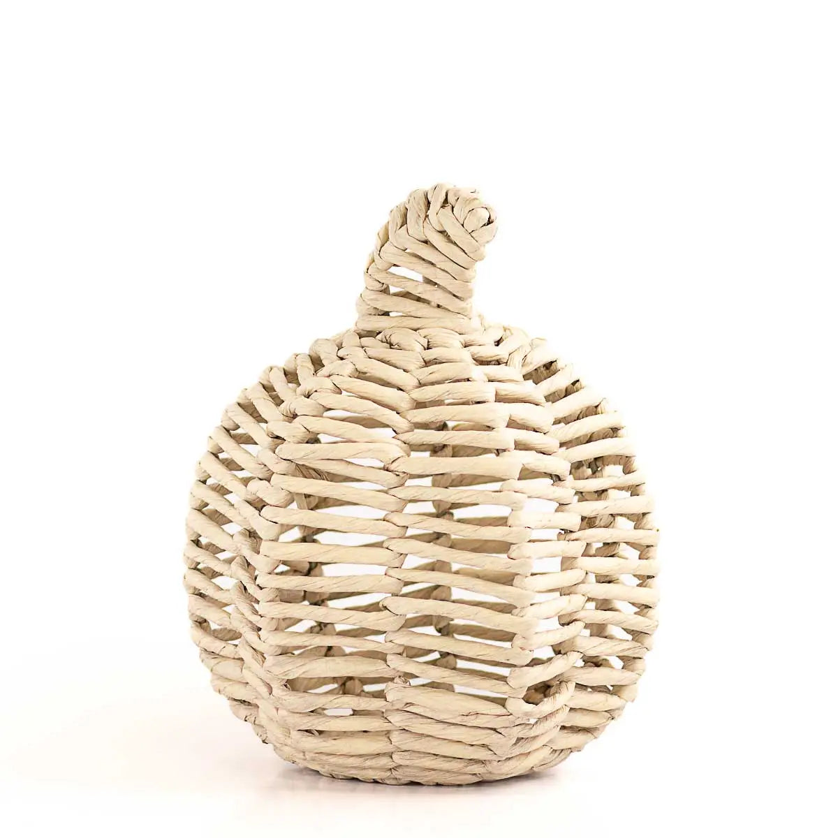 Brookshire Pumpkin Natural