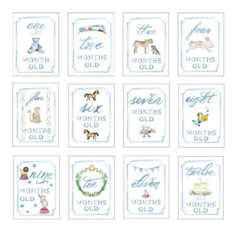 Month by Month Baby Cards