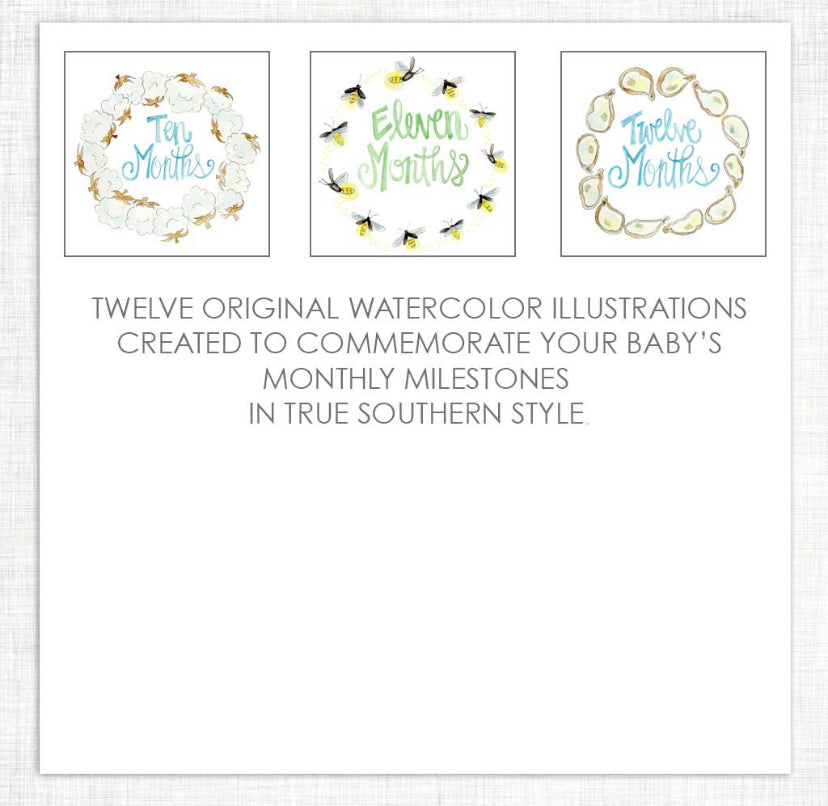 Southern Baby Milestone Cards